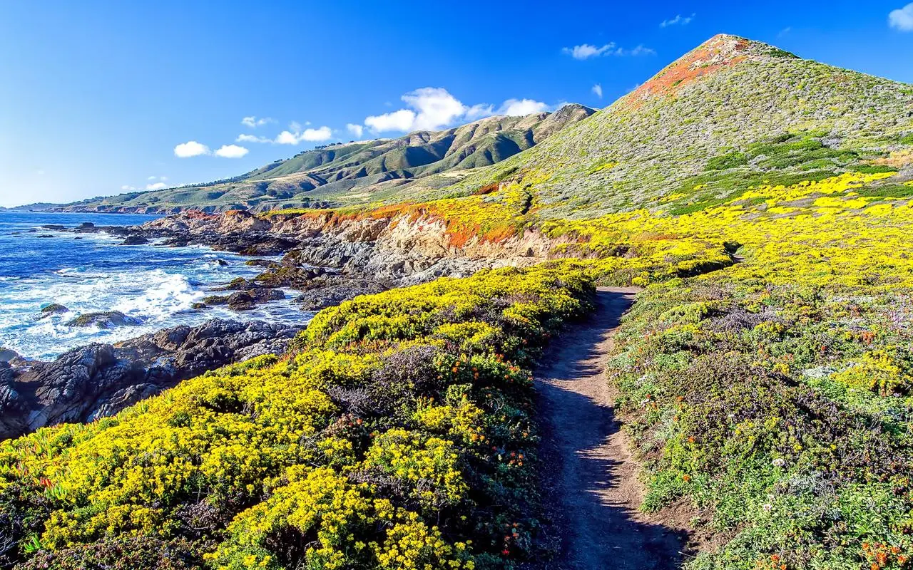 信息化智慧工厂智能系统